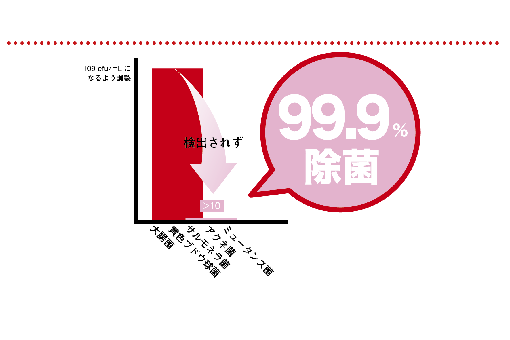 マジックシールドエビデンス